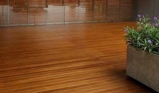 27750370_565467770453149_3074134246472169336_n